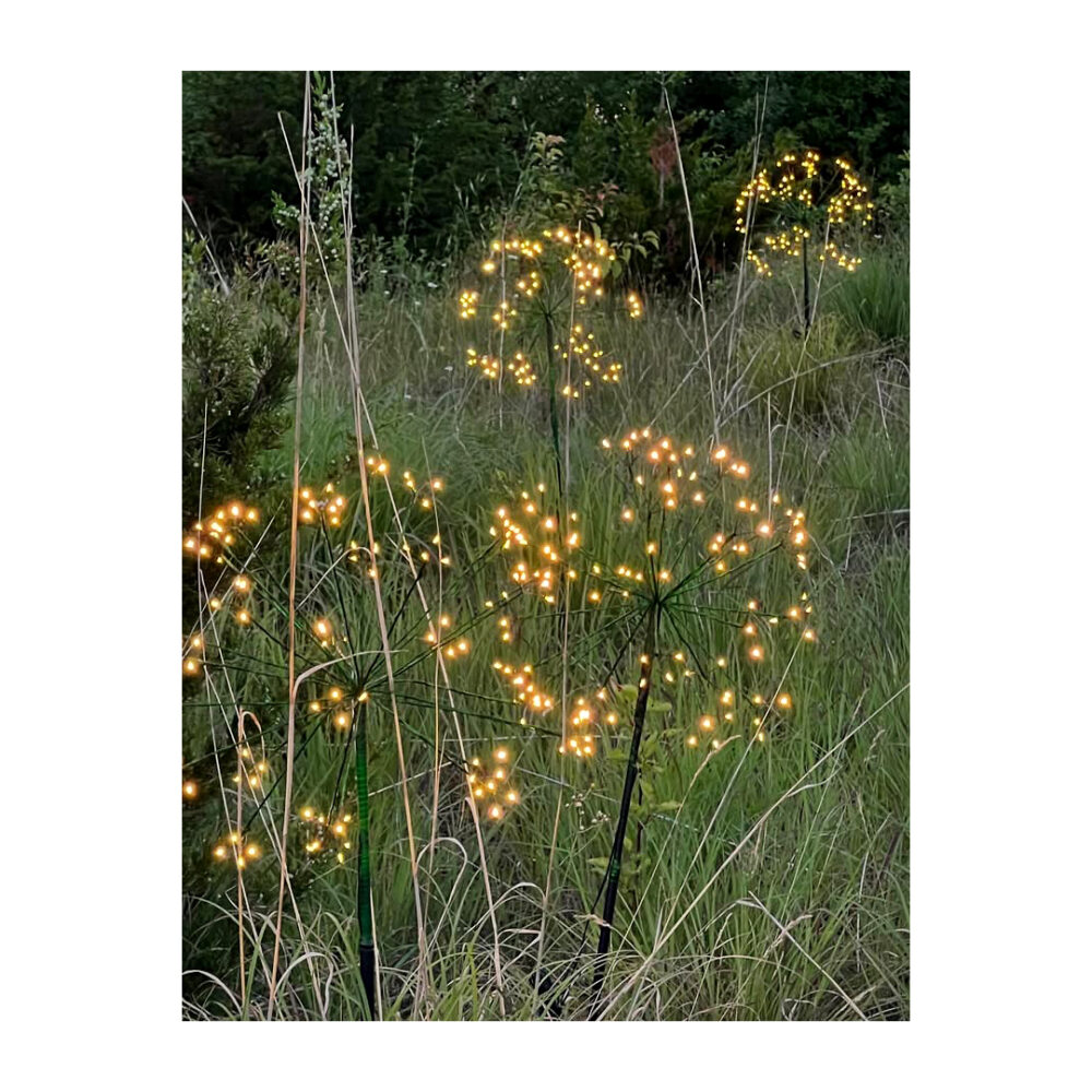 Solar Dandelion