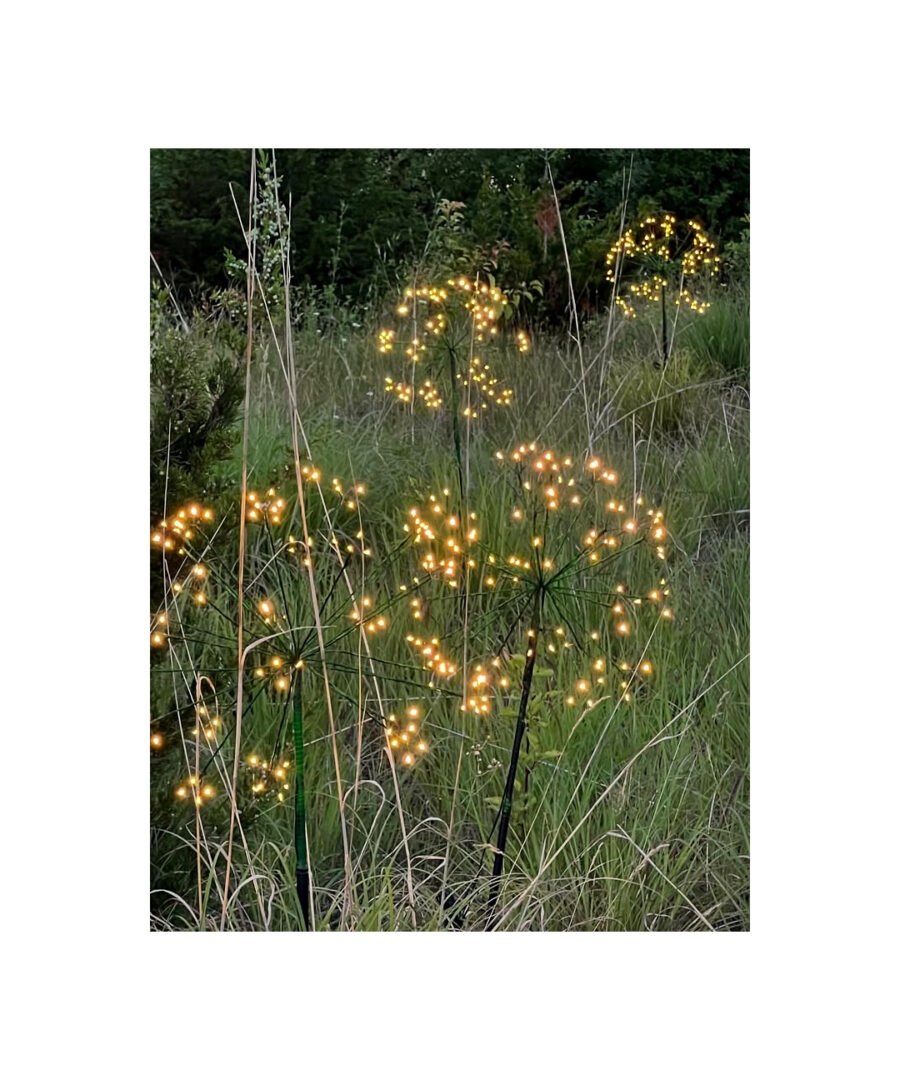 Solar Dandelion