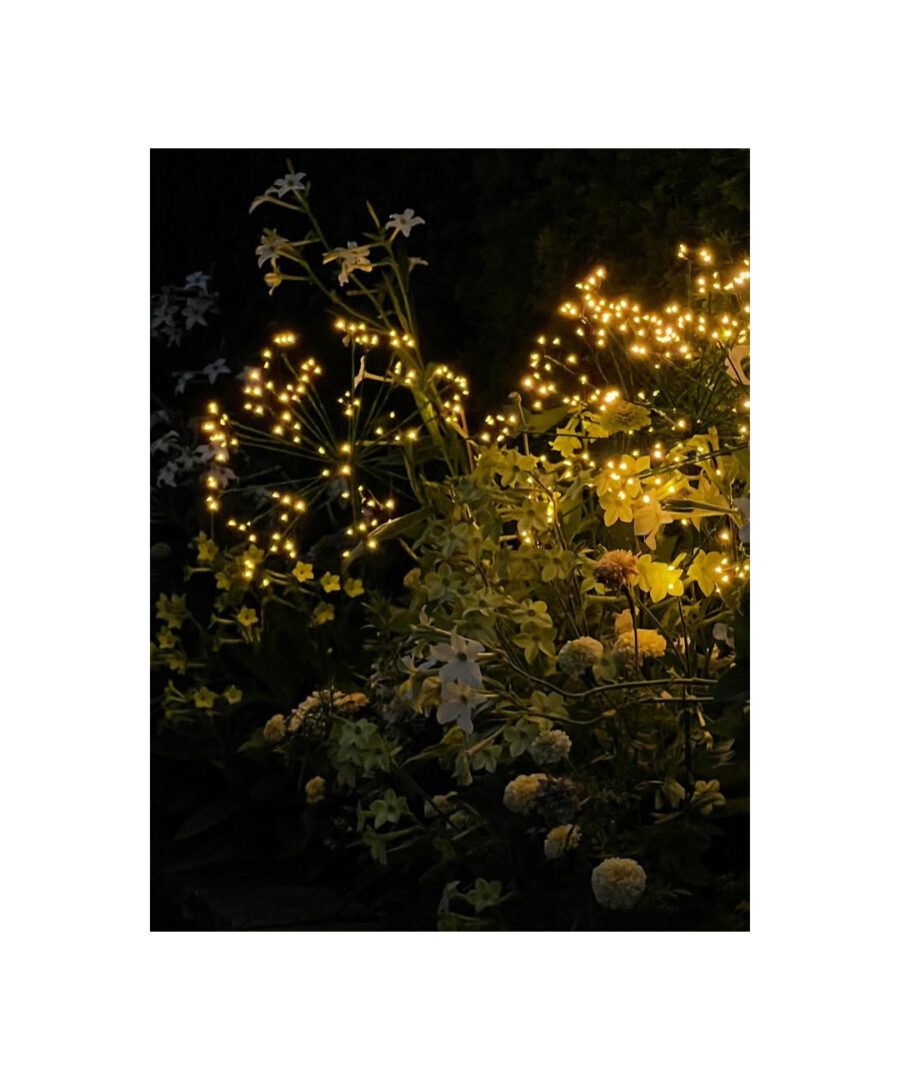 Detroit Garden Works