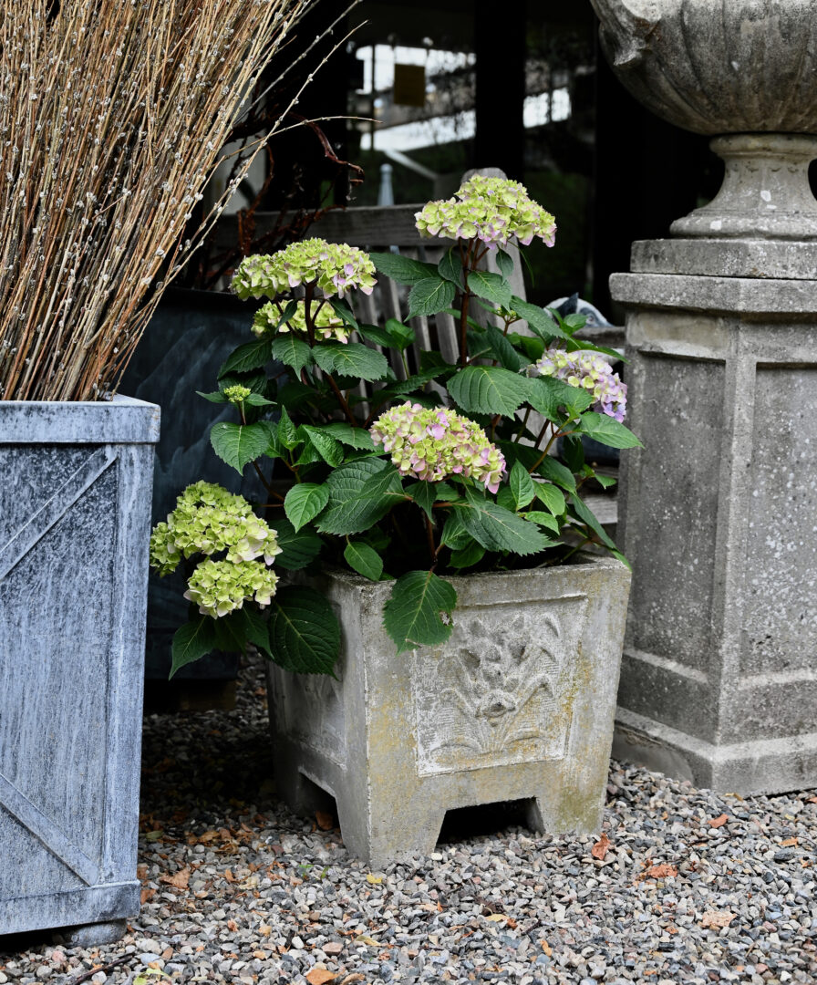 English Square Flower Planters