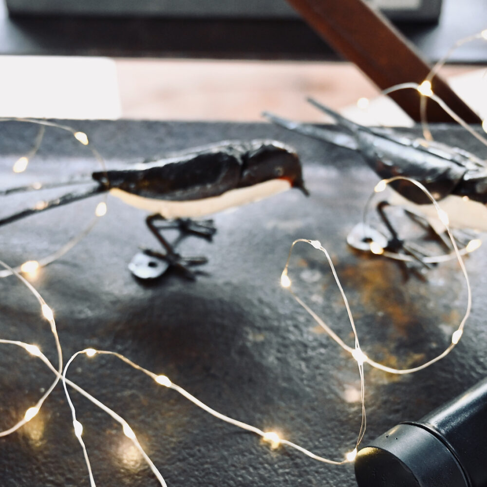 Micro LED twinkle Battery Lights