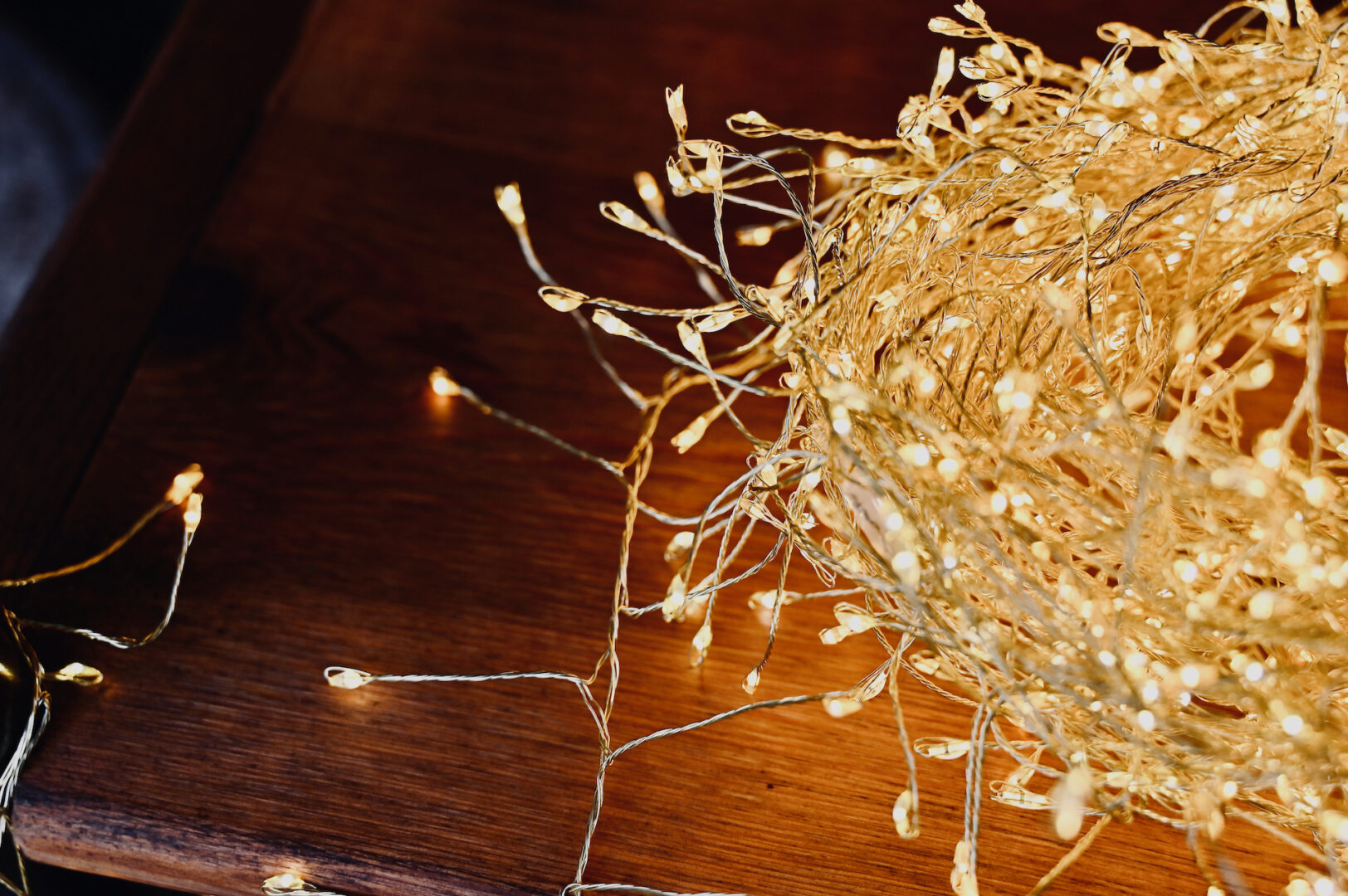 Detroit Garden Works