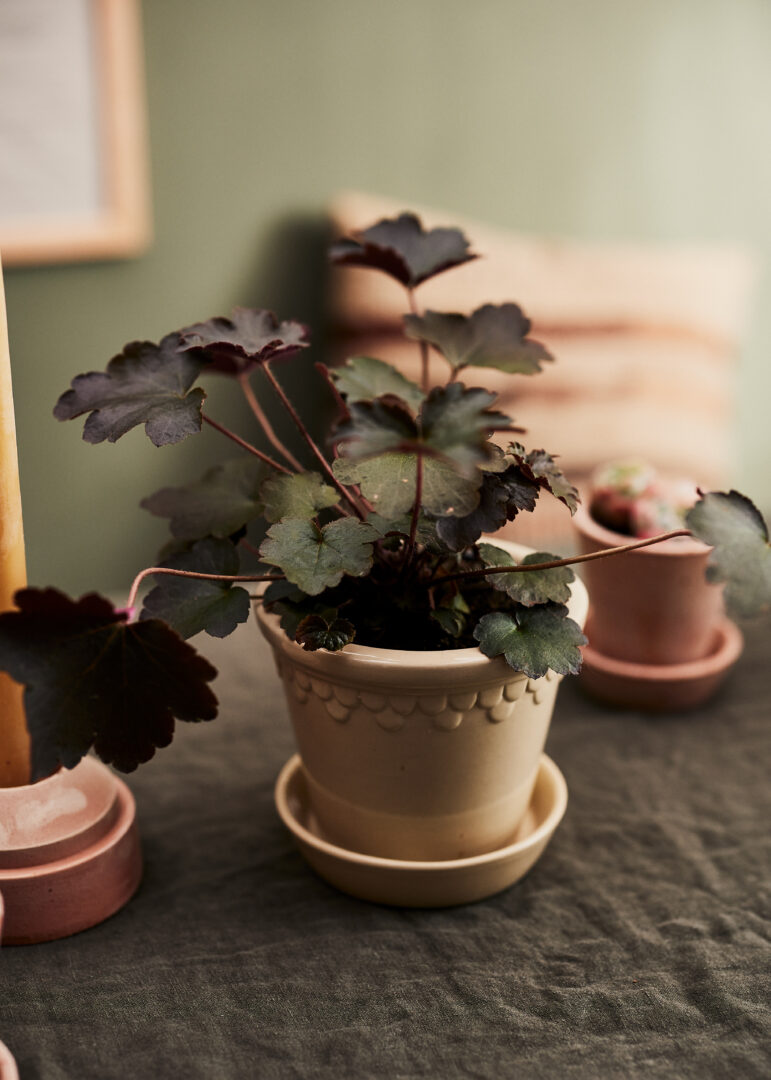 Copenhagen Pot in Sandstone