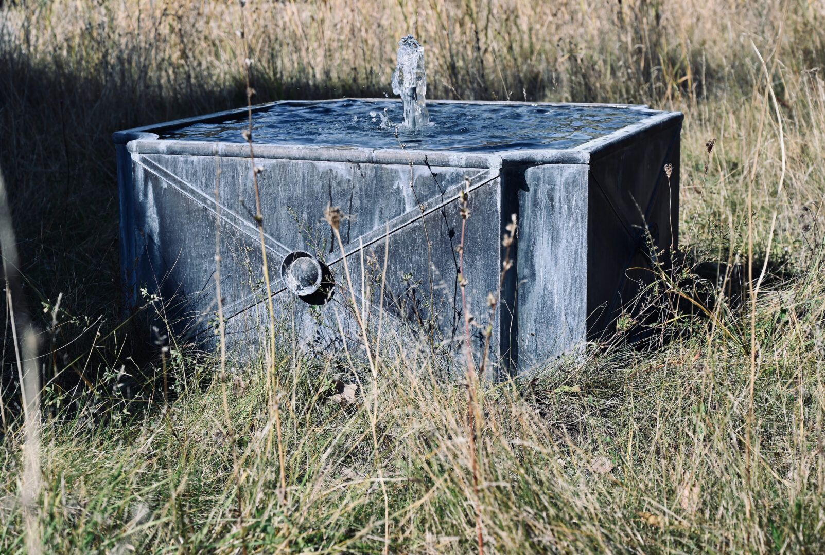 The Branch Studio Jackie Classic Fountain