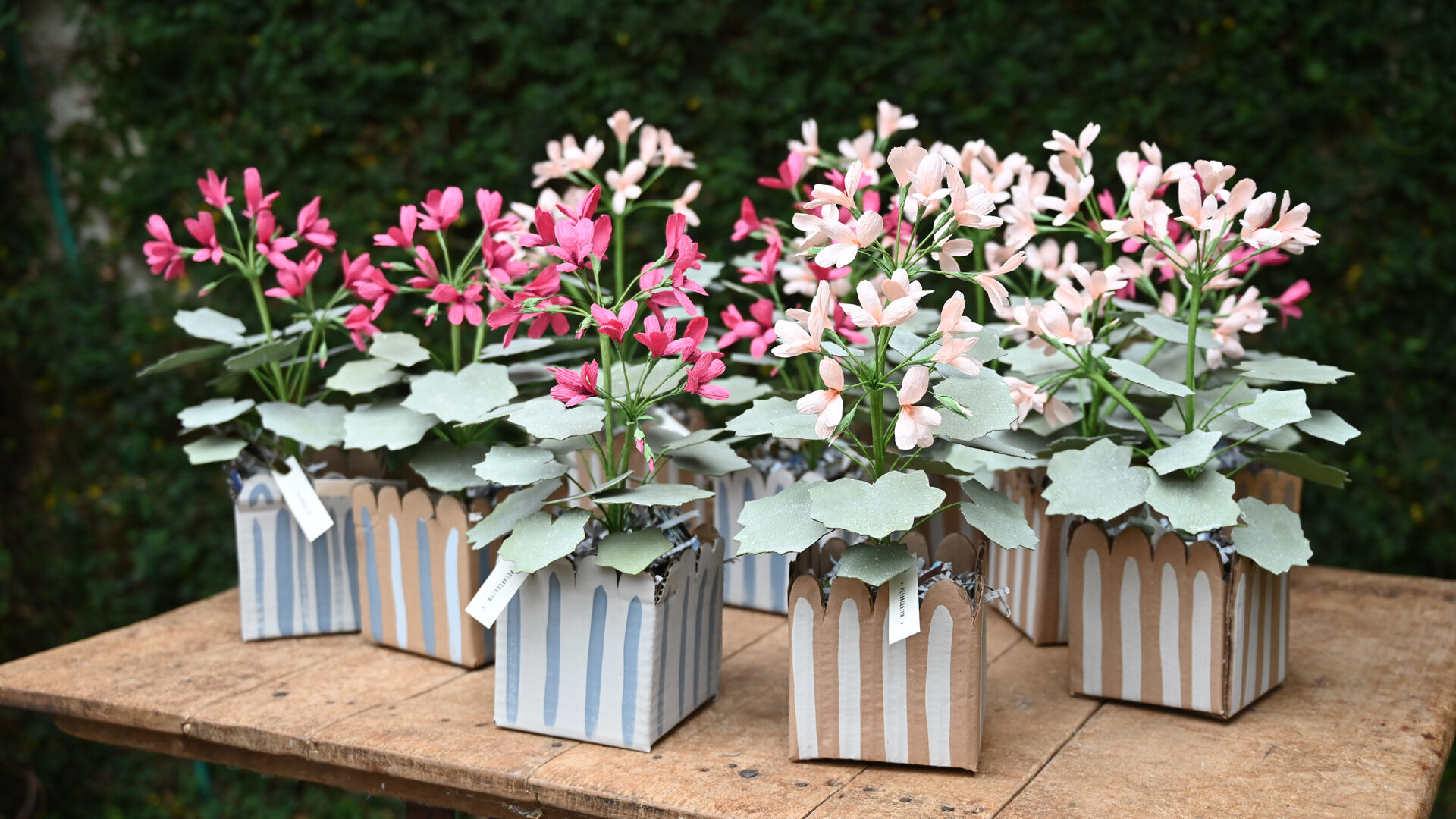 Pelargonium Paper Sculpture - Detroit Garden Works