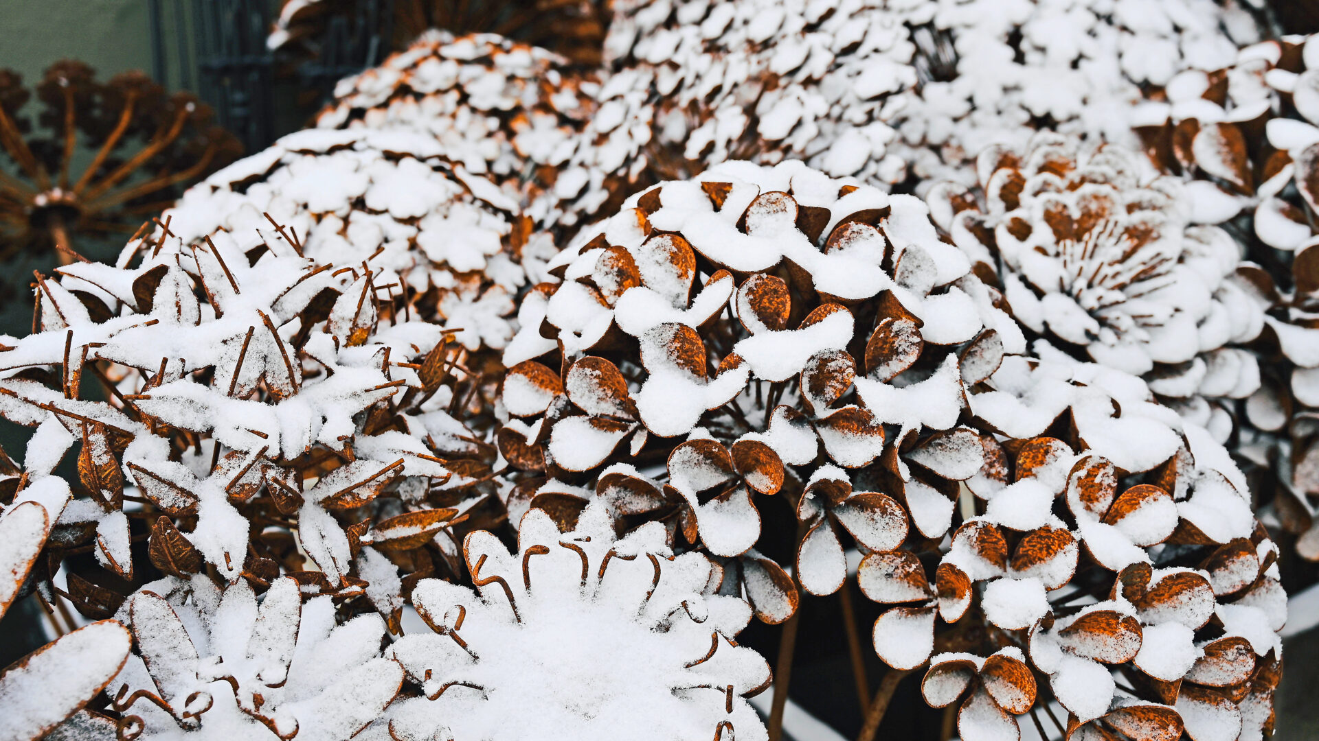 Powdered Sugar Coated Flower Stakes - Detroit Garden Works