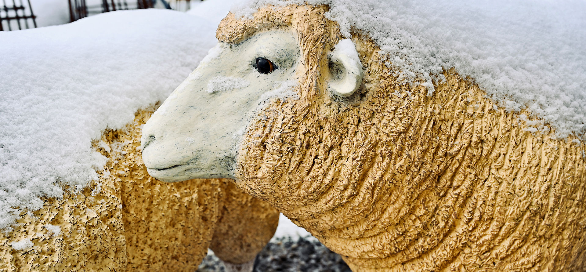 Polyresin Sheep Sculpture - Detroit Garden Works