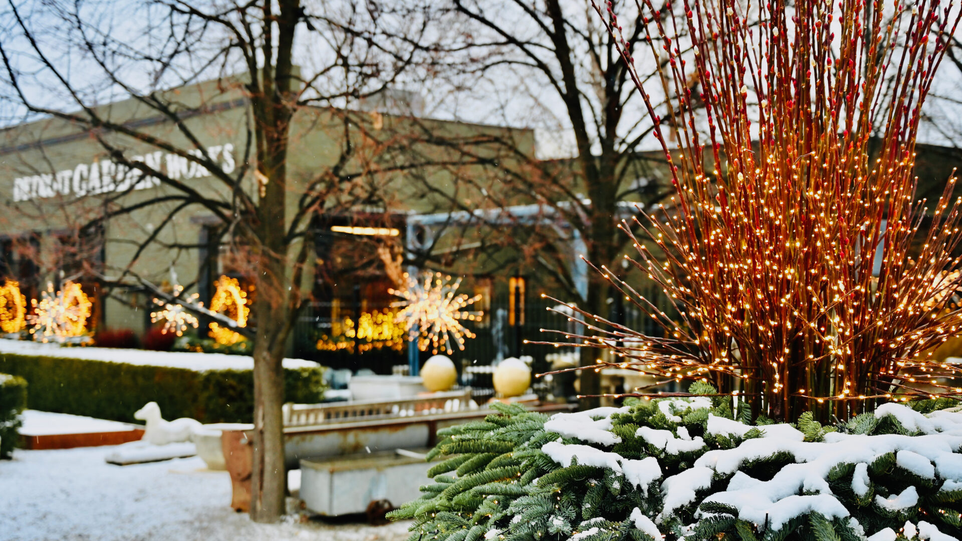 A Bit of Snow for January - Detroit Garden Works