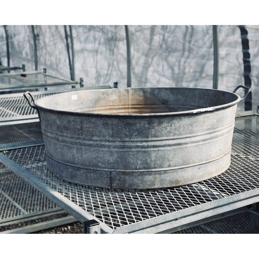 English Galvanized Wash Tub with Handles