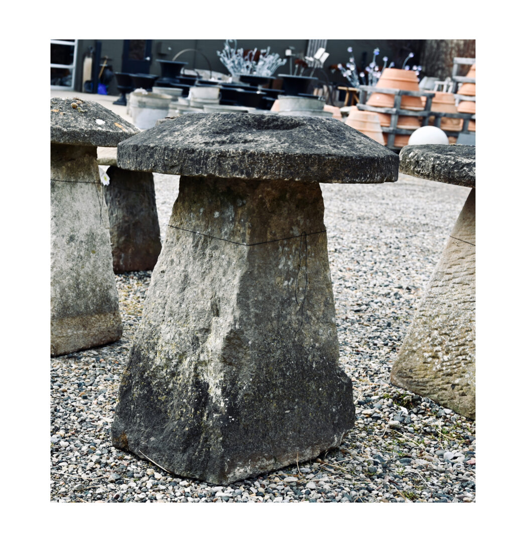 Large English Staddle Stone