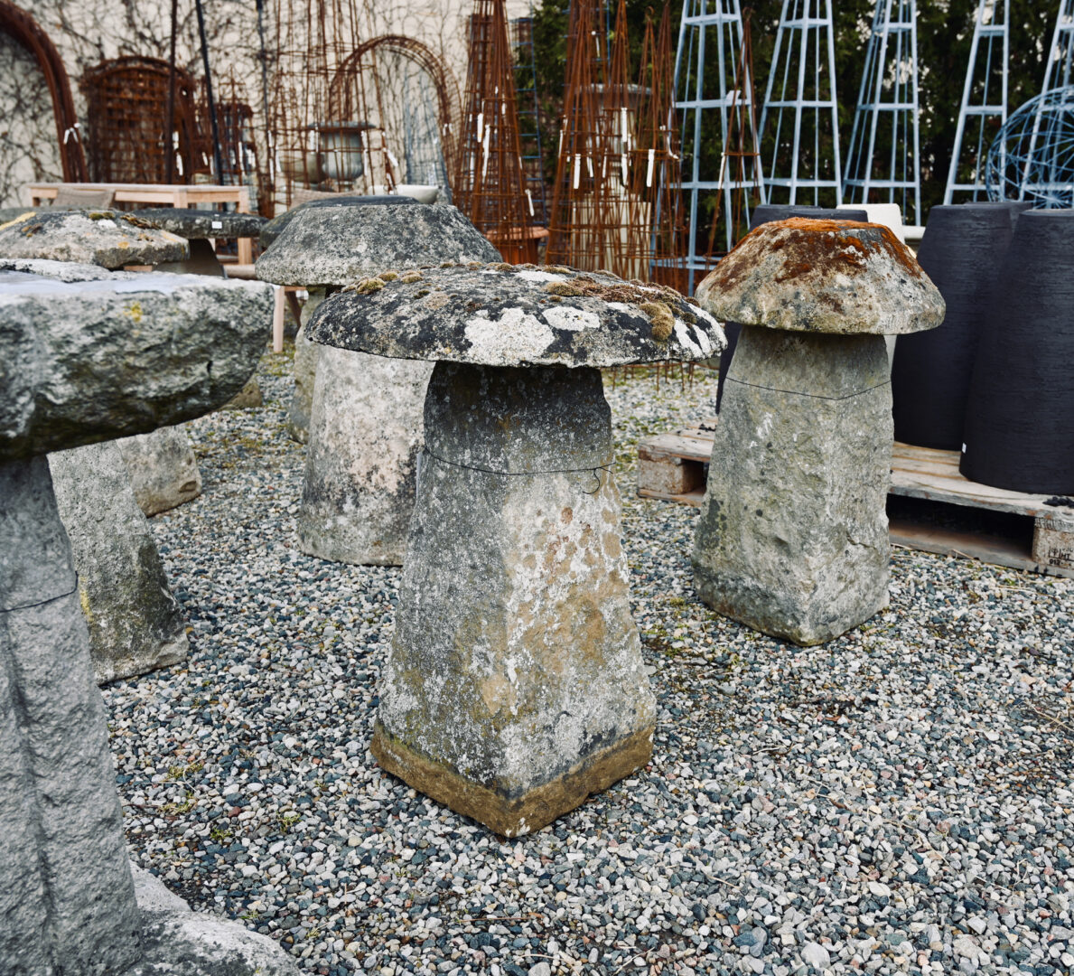 Antique English Limestone Staddle Stone