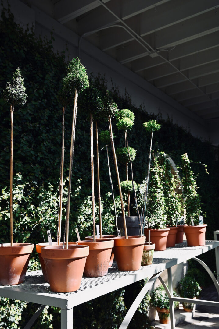 Detroit Garden Works