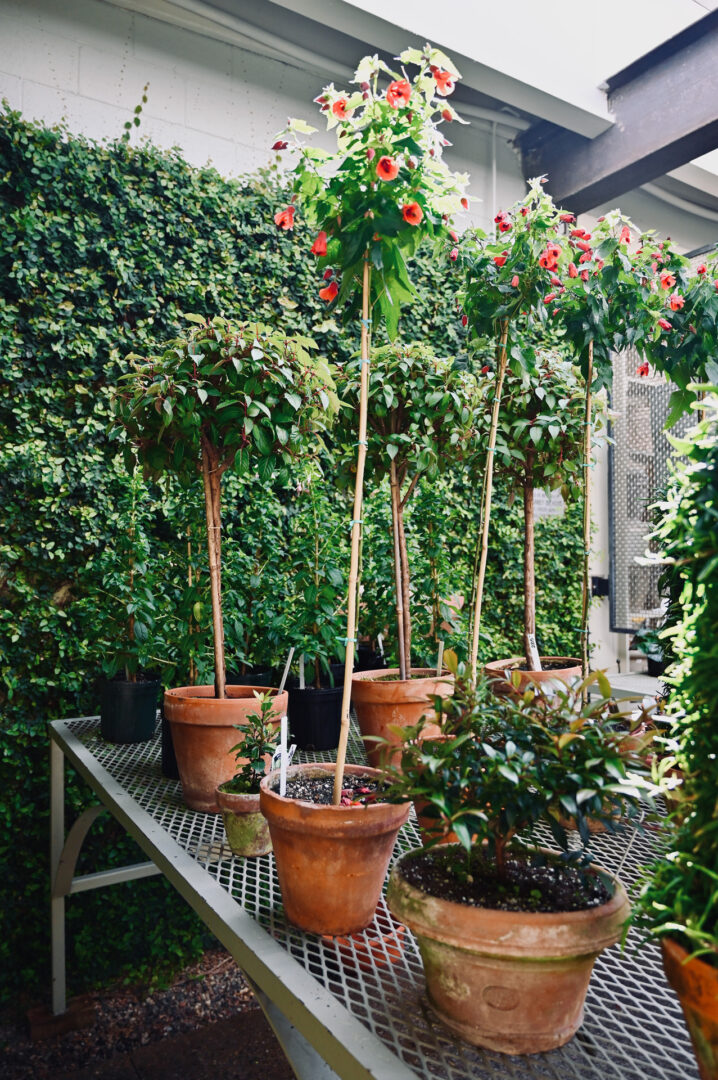 Detroit Garden Works