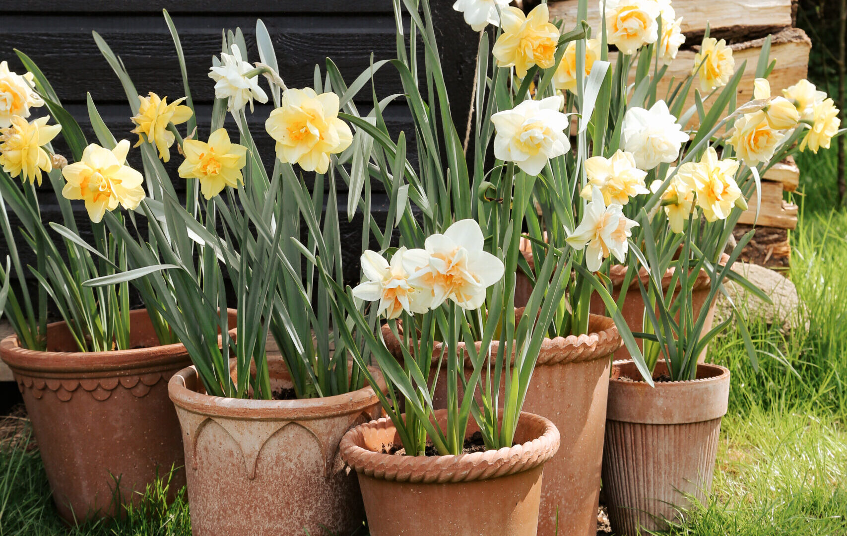 Detroit Garden Works