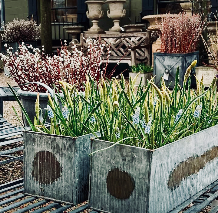 Detroit Garden Works