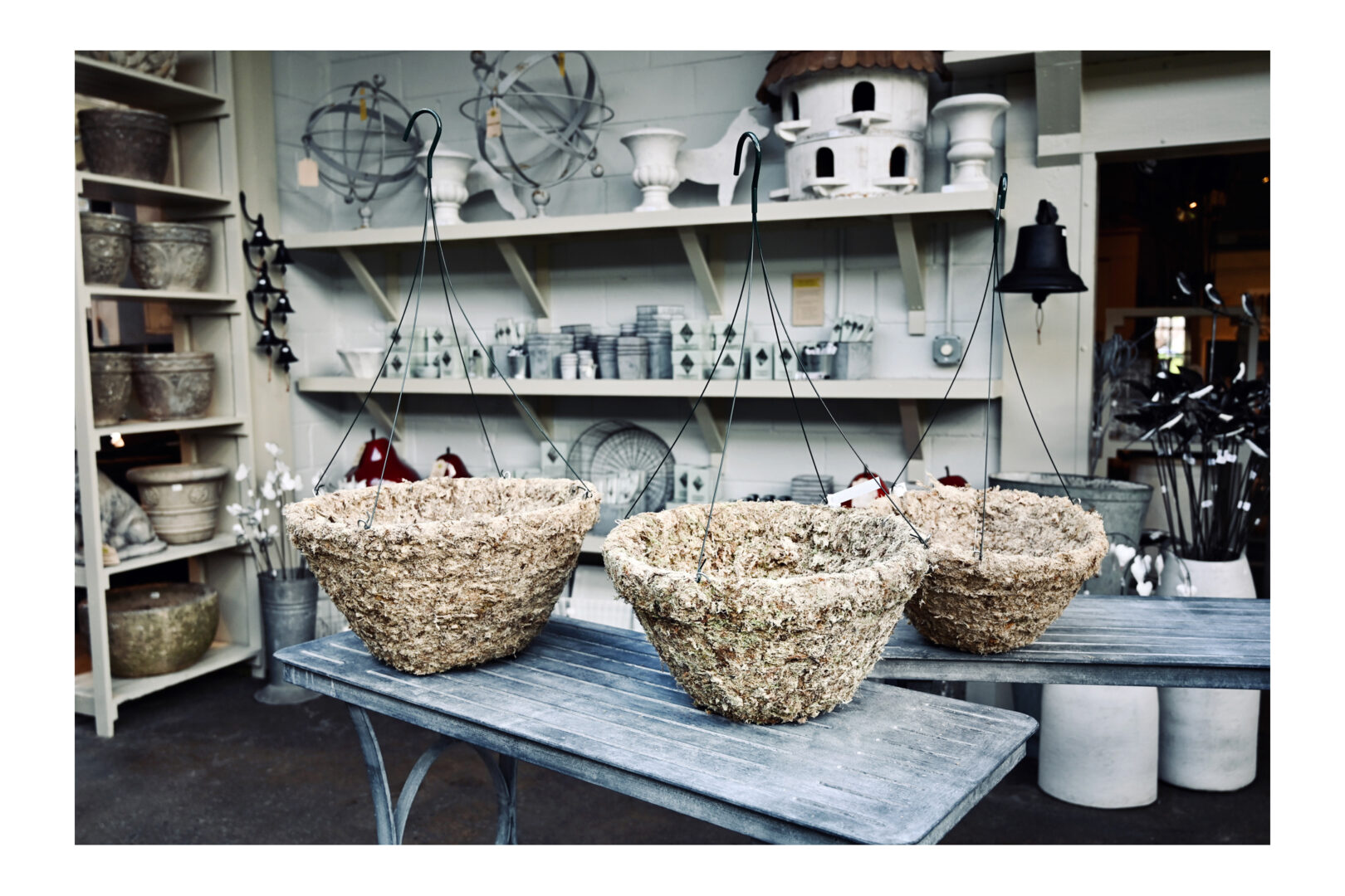 Sphagnum Moss Baskets