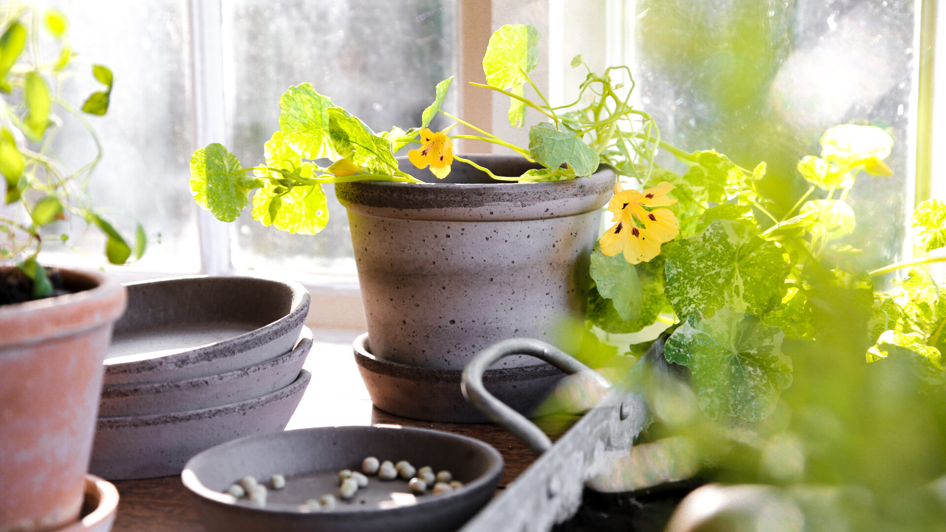 The Parade Pot, Handmade in Northern Italy - Detroit Garden Works