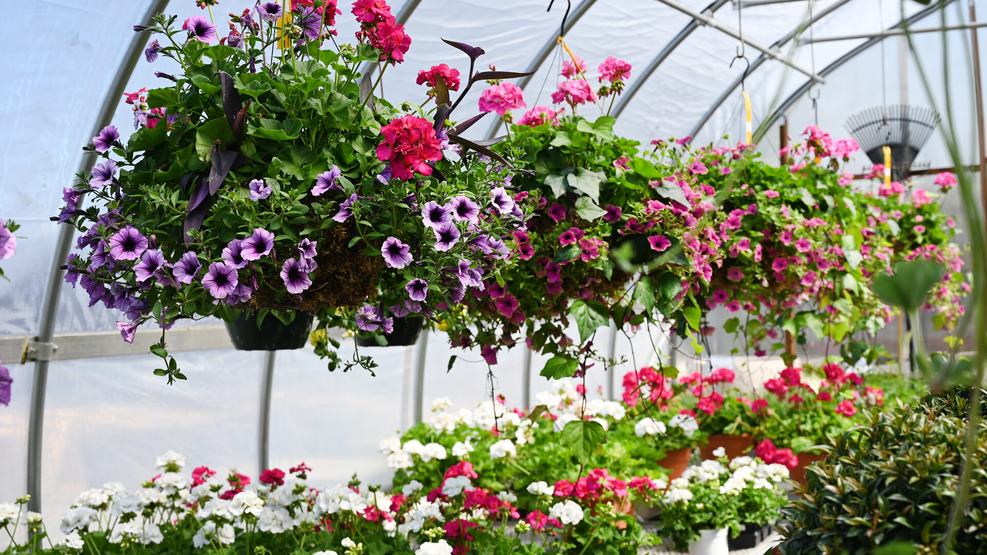 How to Buy - Detroit Garden Works