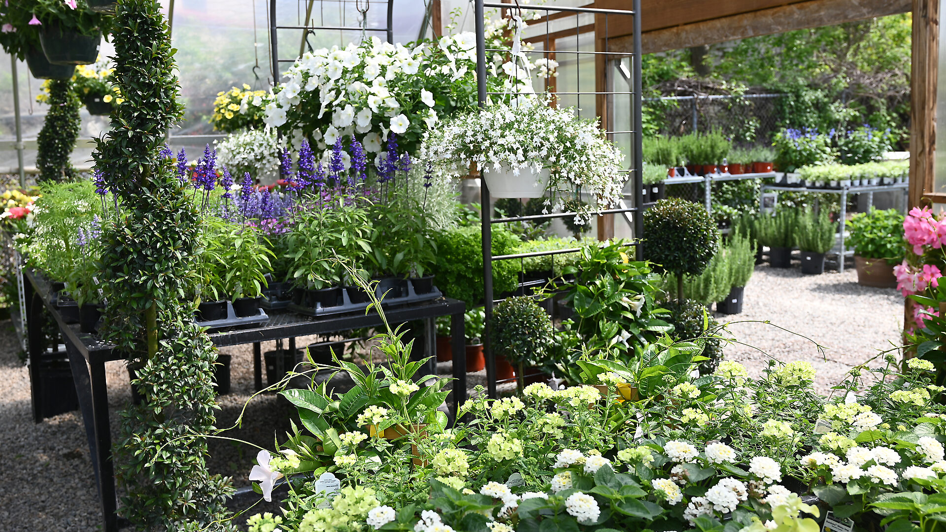 Detroit Garden Works
