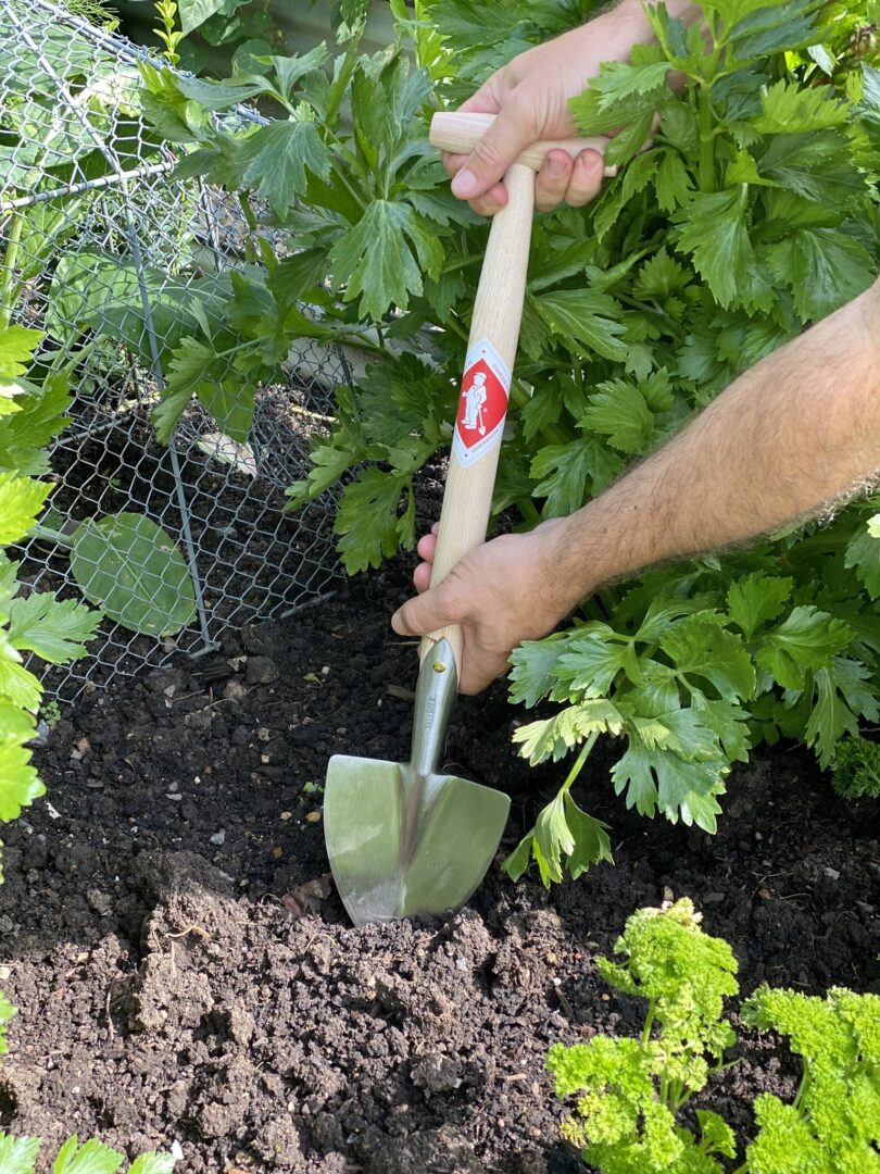 Detroit Garden Works