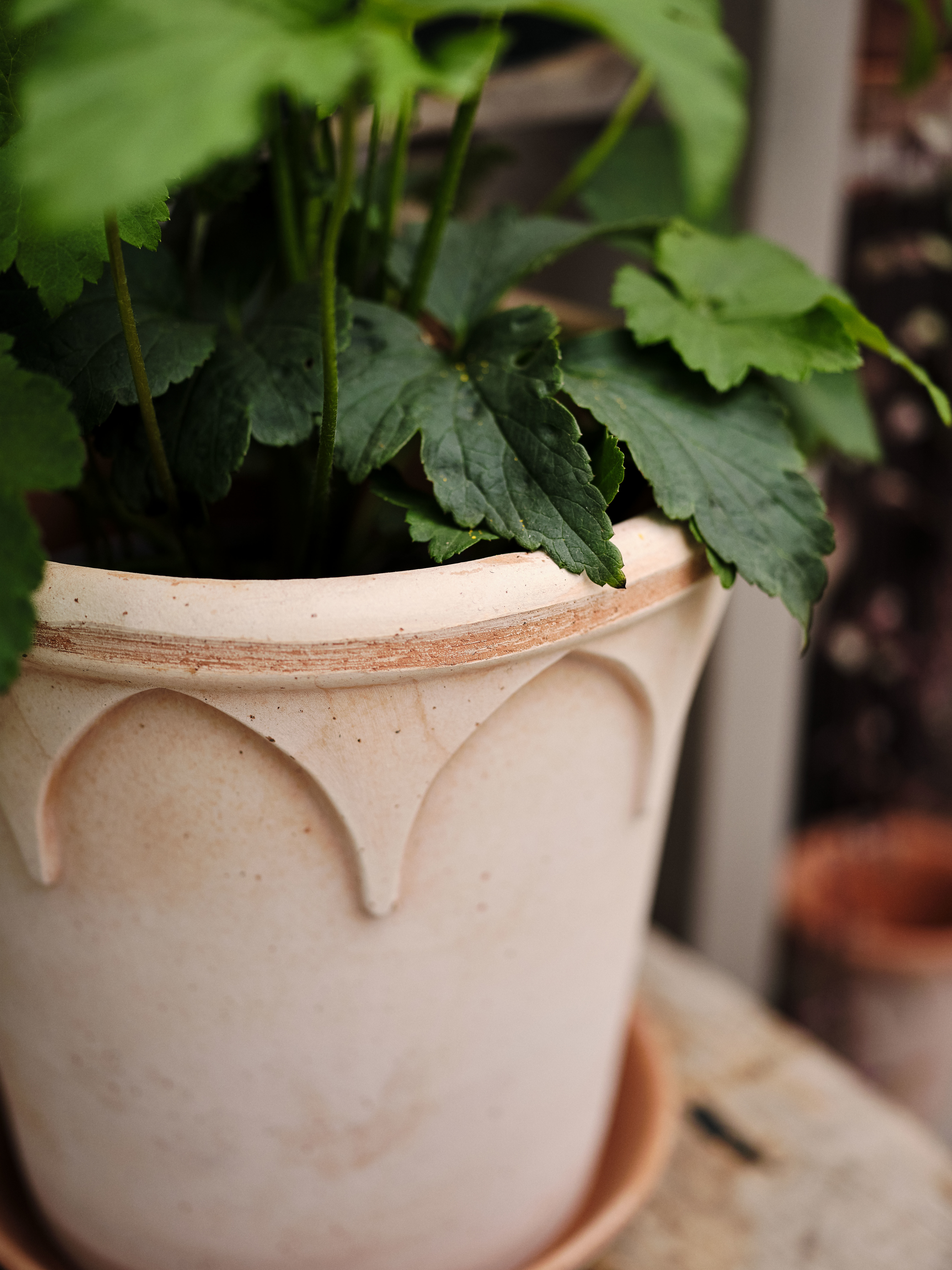 Detroit Garden Works