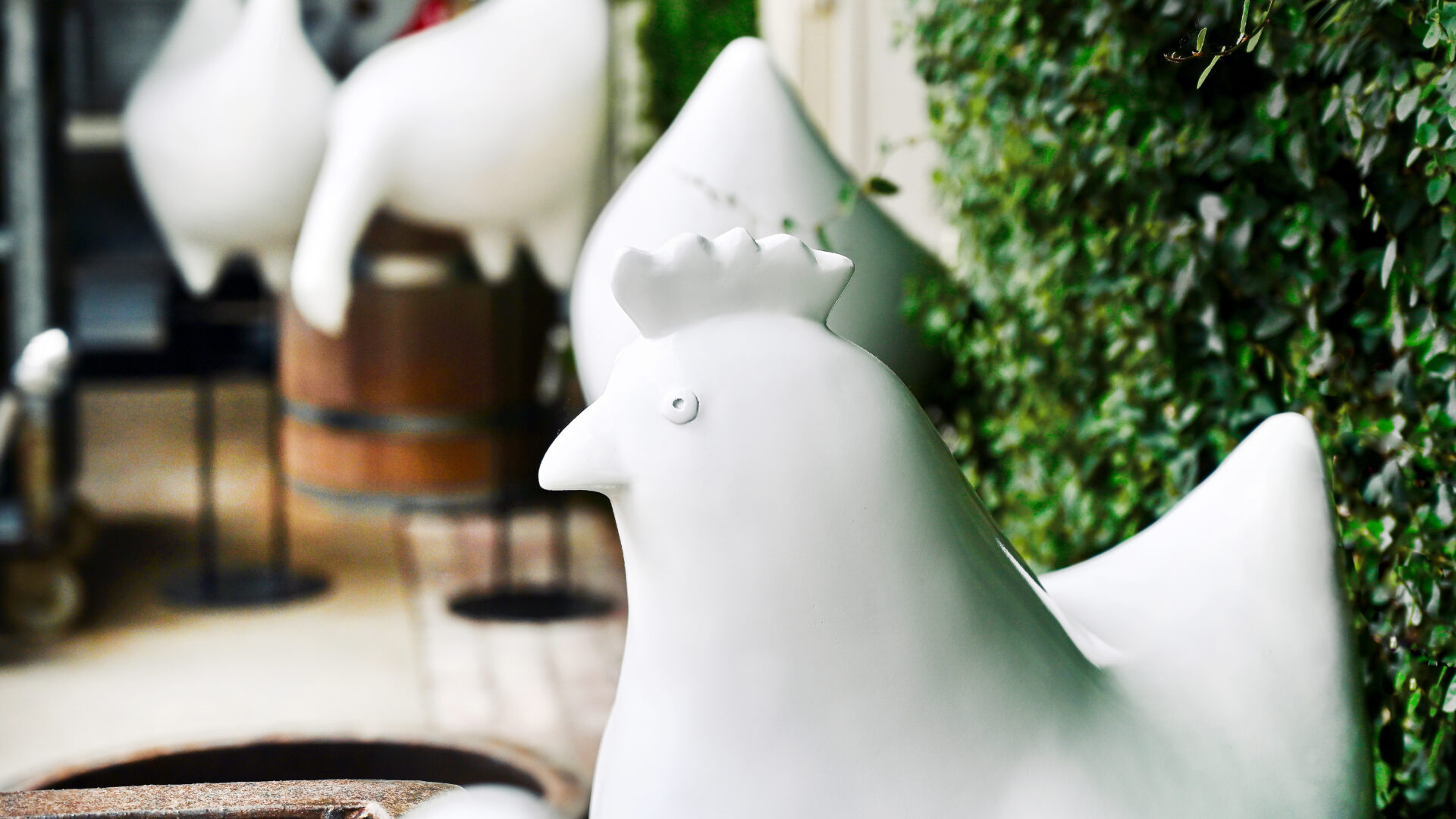 The Sculptural Fowl with Creeping Fig - Detroit Garden Works