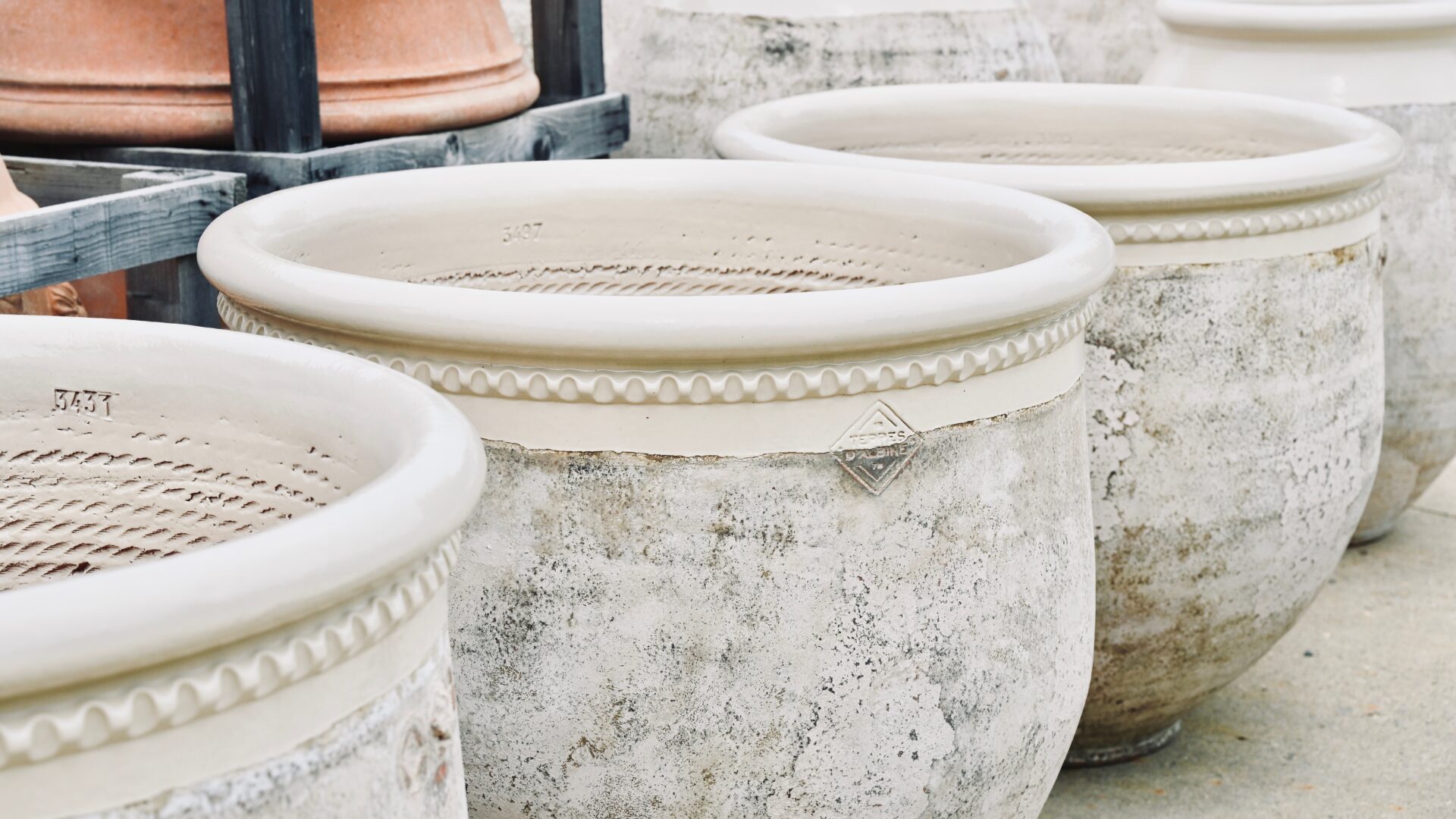 Shop: French Terra Cotta Bugadier | Detroit Garden Works