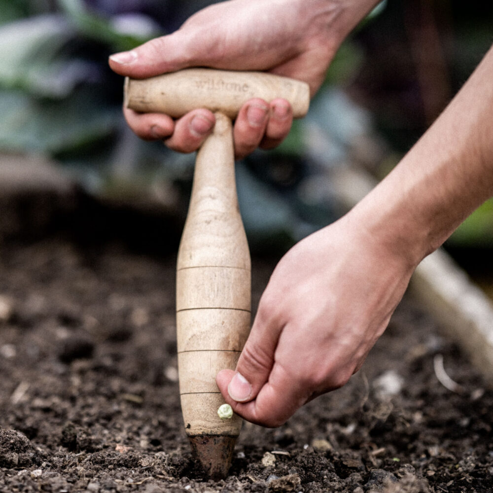 Garden Dibber