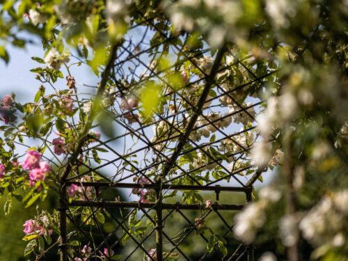 Detroit Garden Works