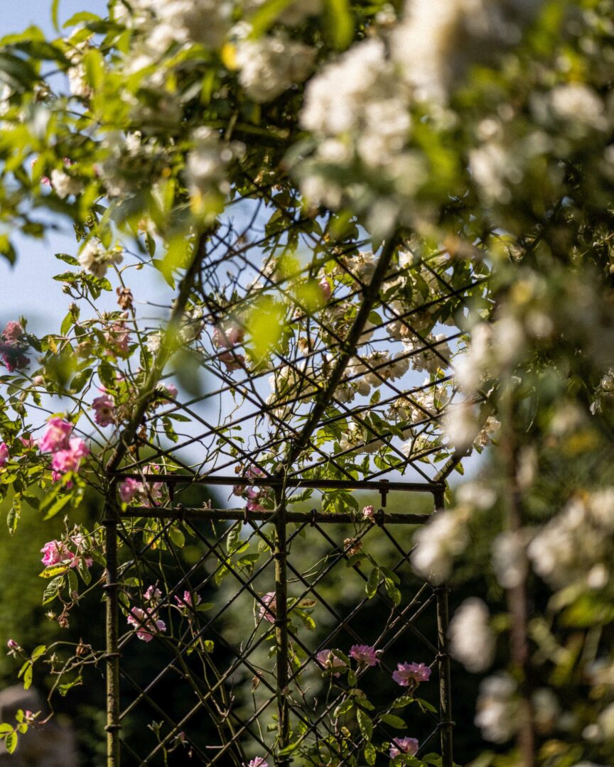 Detroit Garden Works