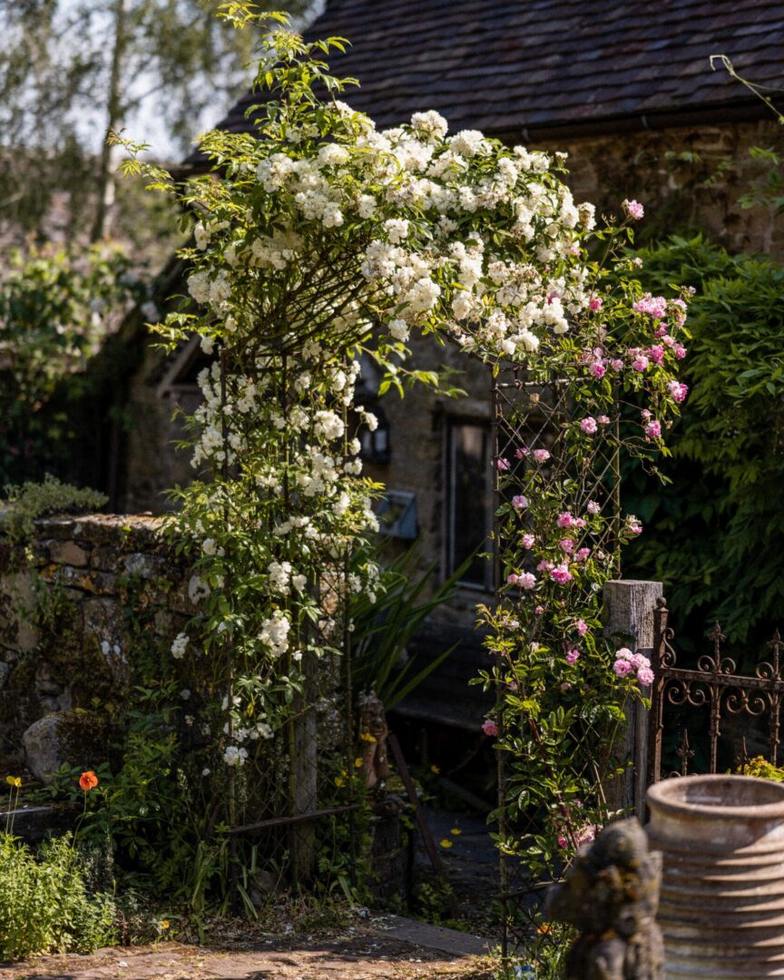 Rose Arch