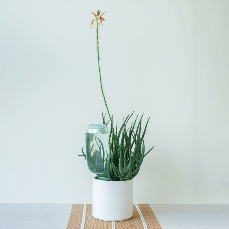 Detroit Garden Works