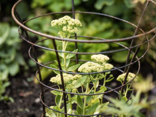 Detroit Garden Works