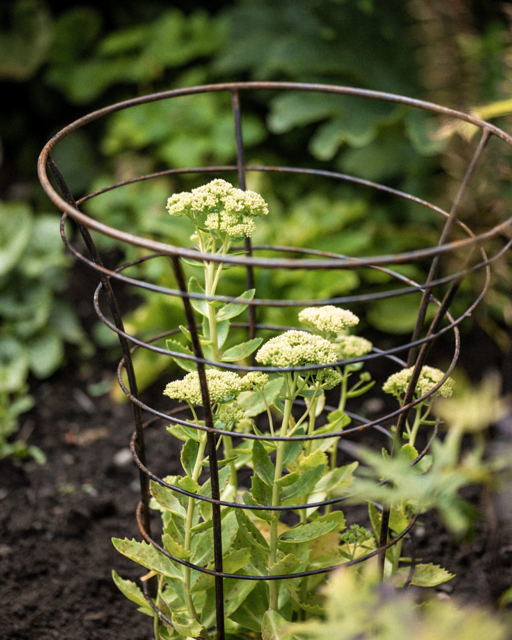 Detroit Garden Works