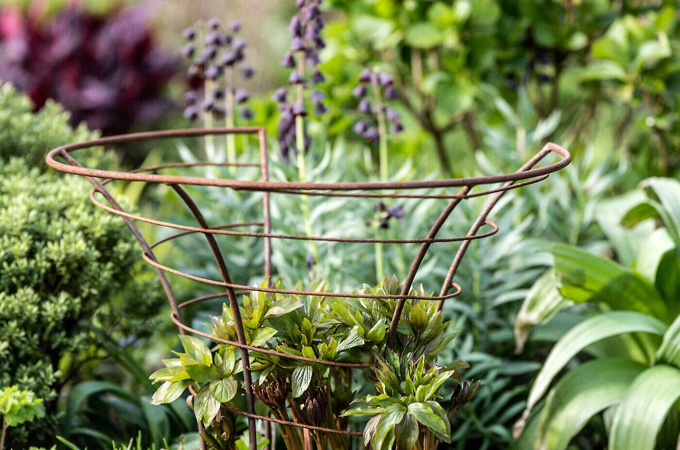 Shop: The Beauty of Form & Function | Detroit Garden Works