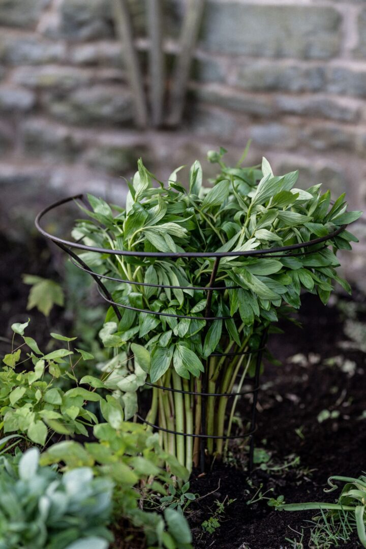 Detroit Garden Works