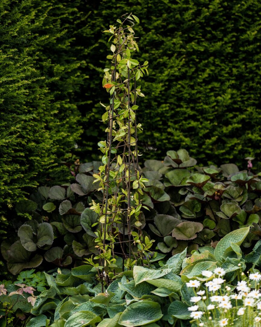 Detroit Garden Works