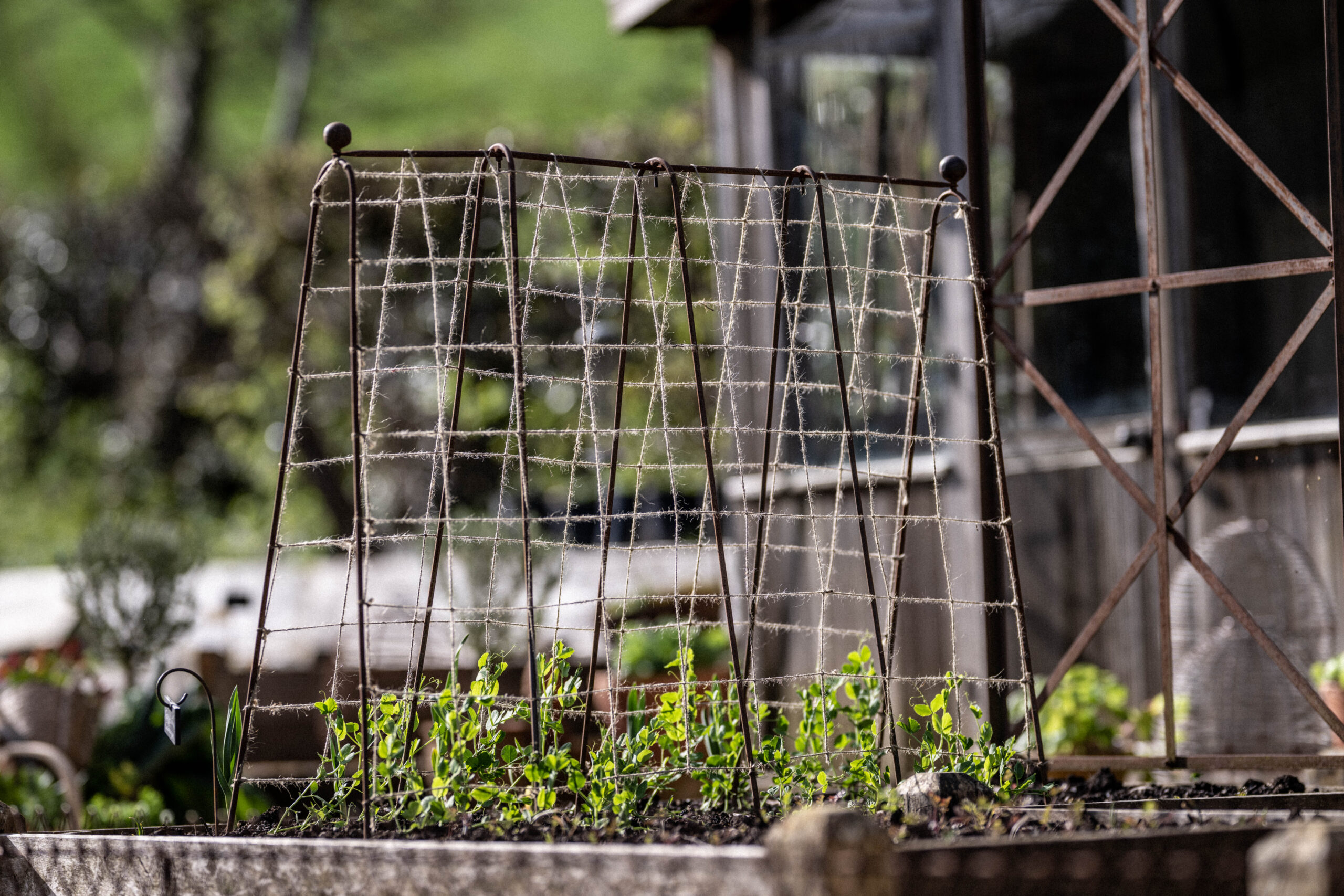 Detroit Garden Works