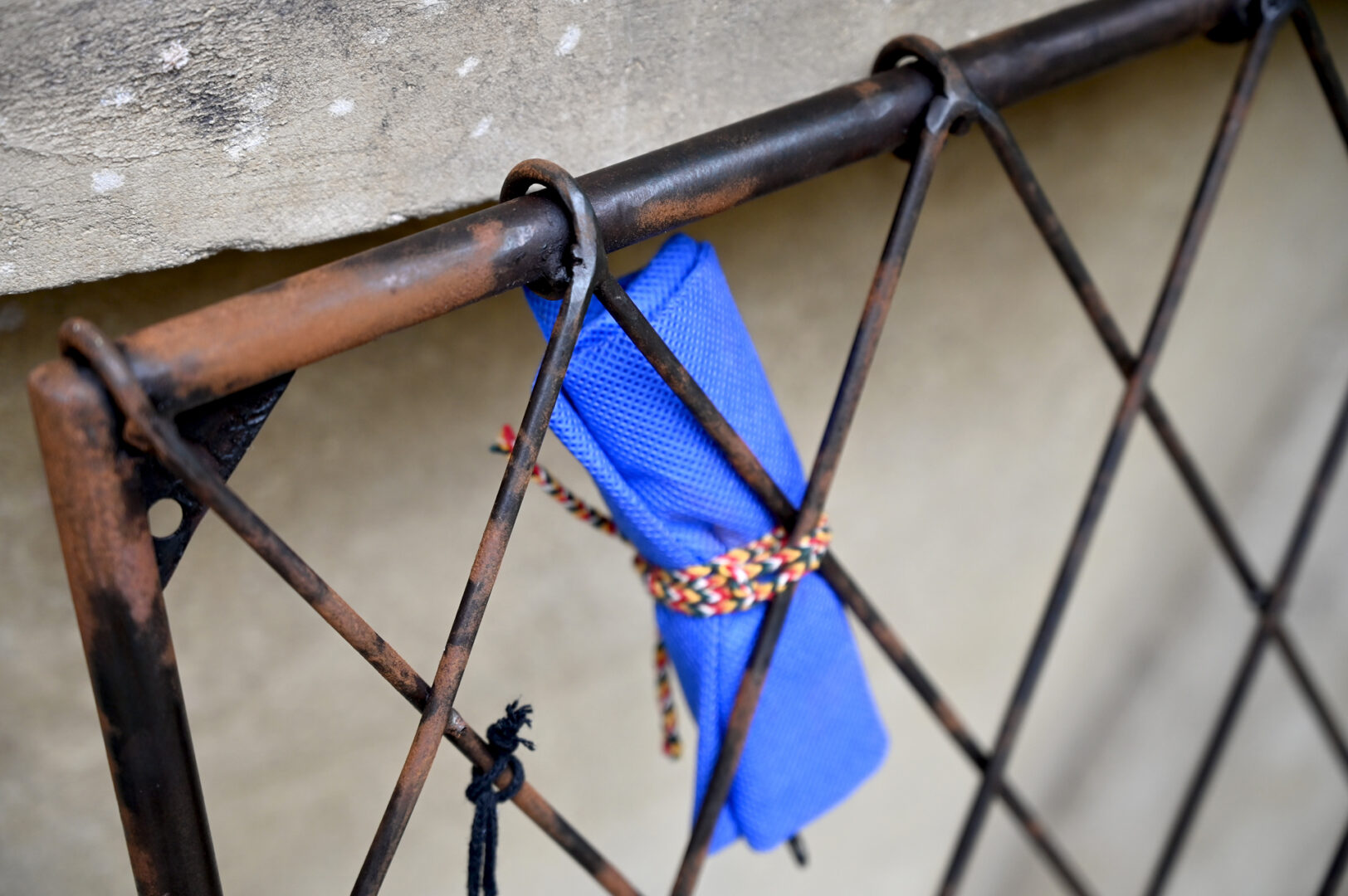 Detroit Garden Works