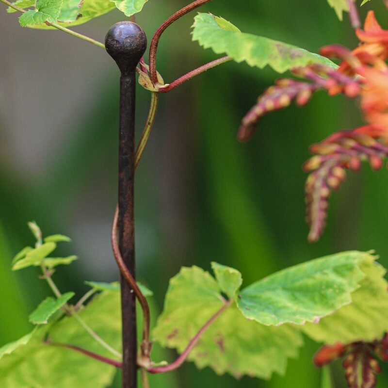 Detroit Garden Works