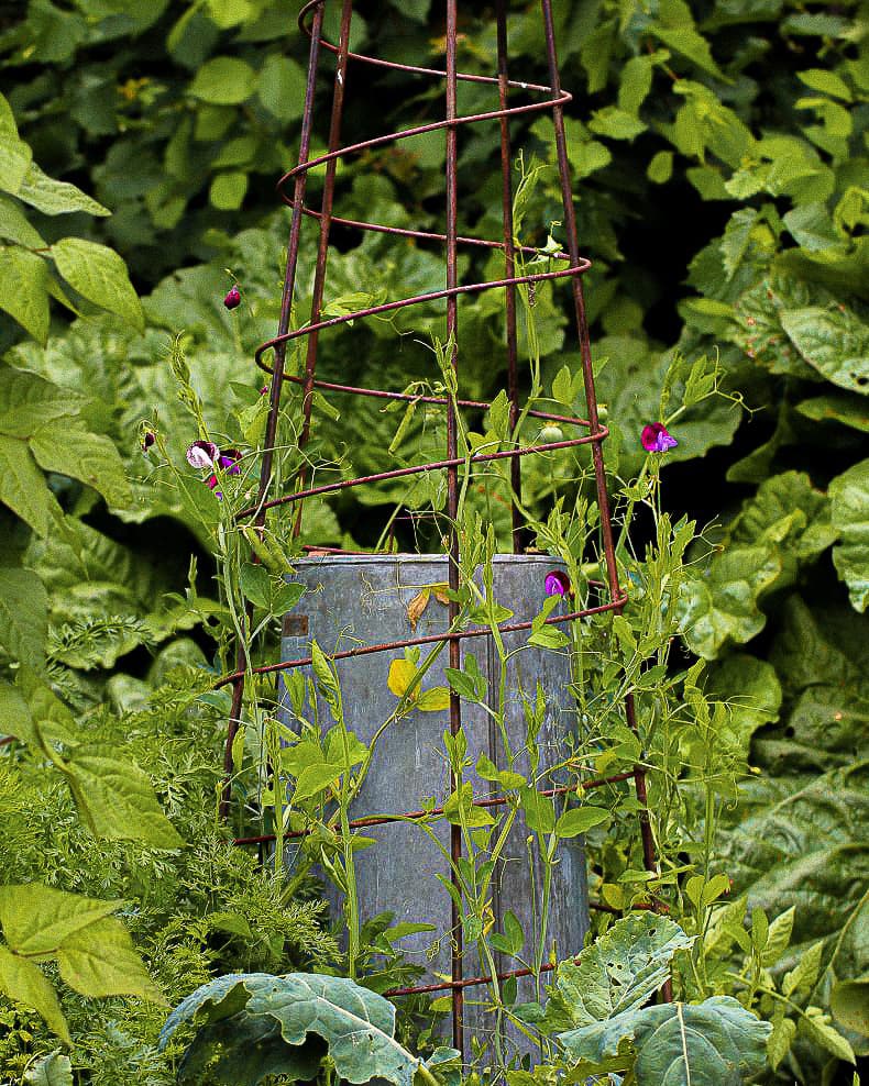 Detroit Garden Works