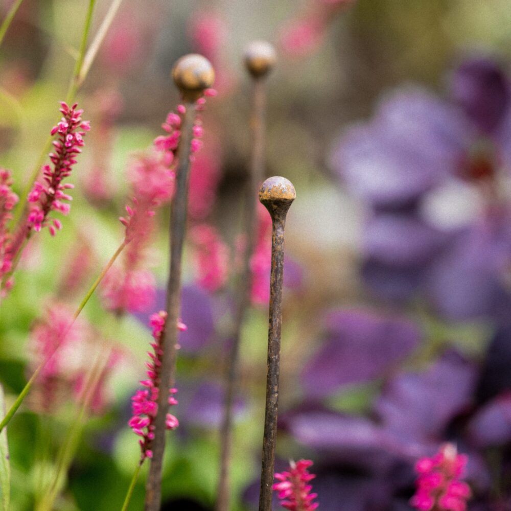 Set of 3 Plant Canes