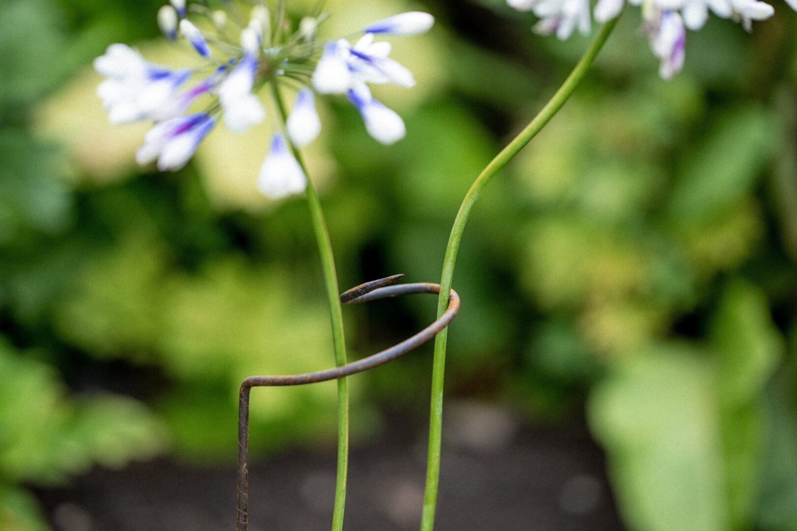 Detroit Garden Works