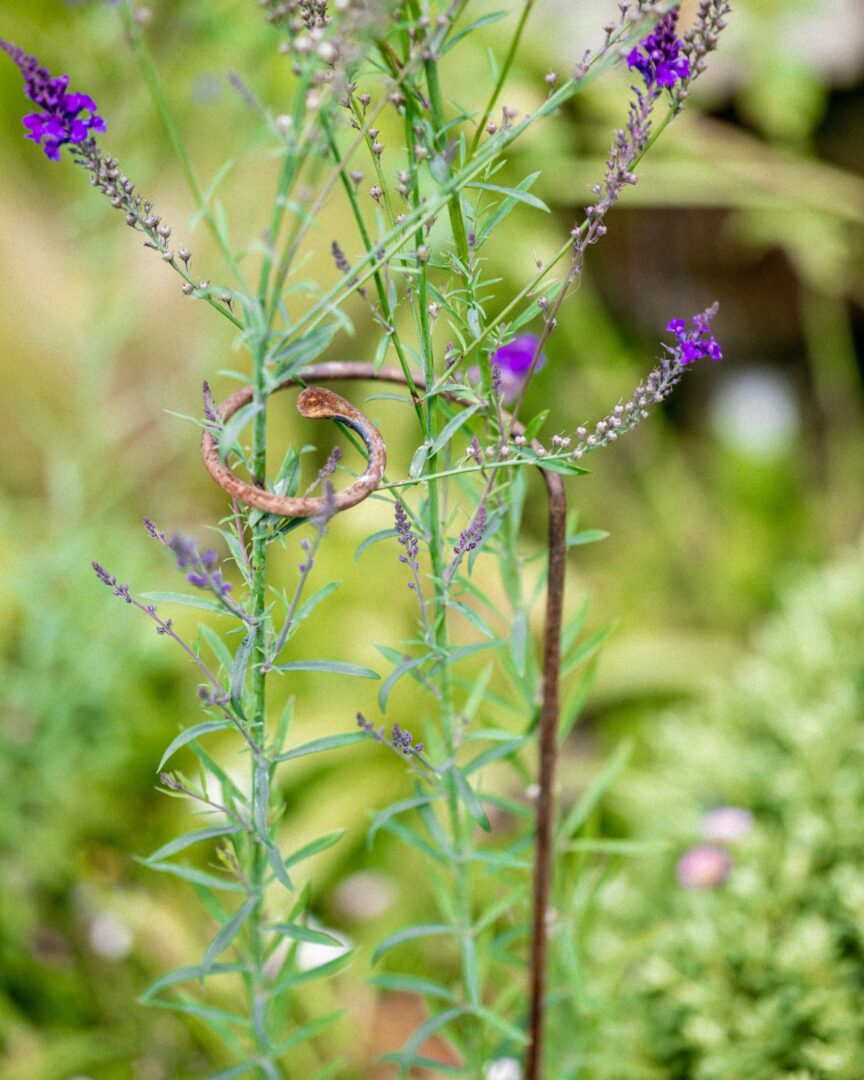 Single Stem Support