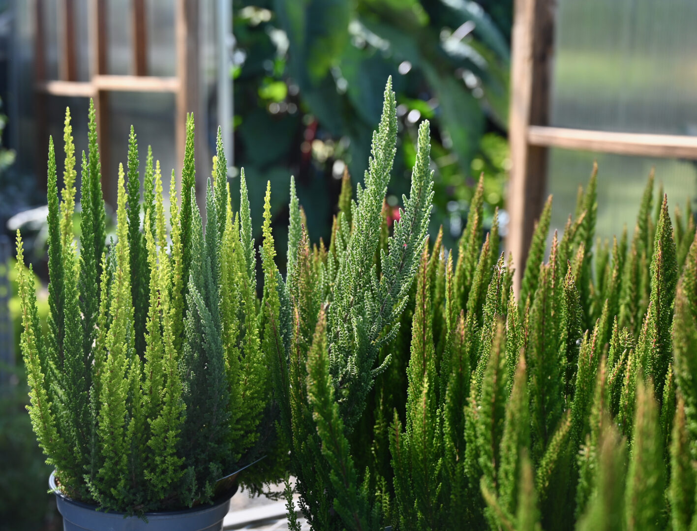 Detroit Garden Works