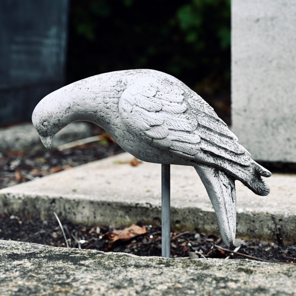 English Dove Sculpture