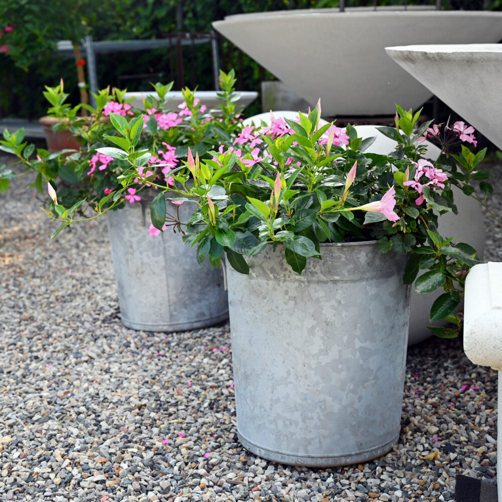 Patinated Buckets
