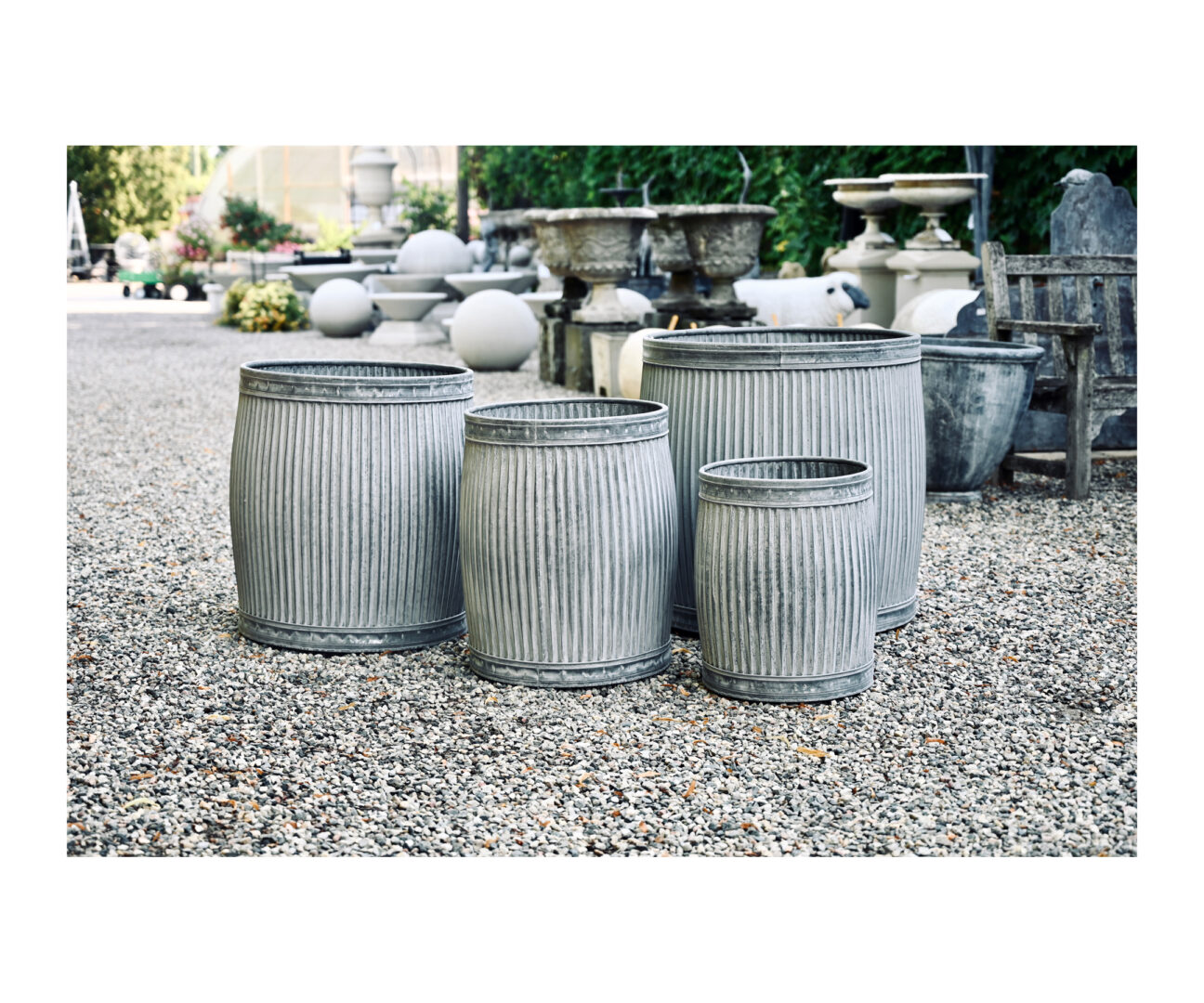 Olive Harvest Galvanized Container