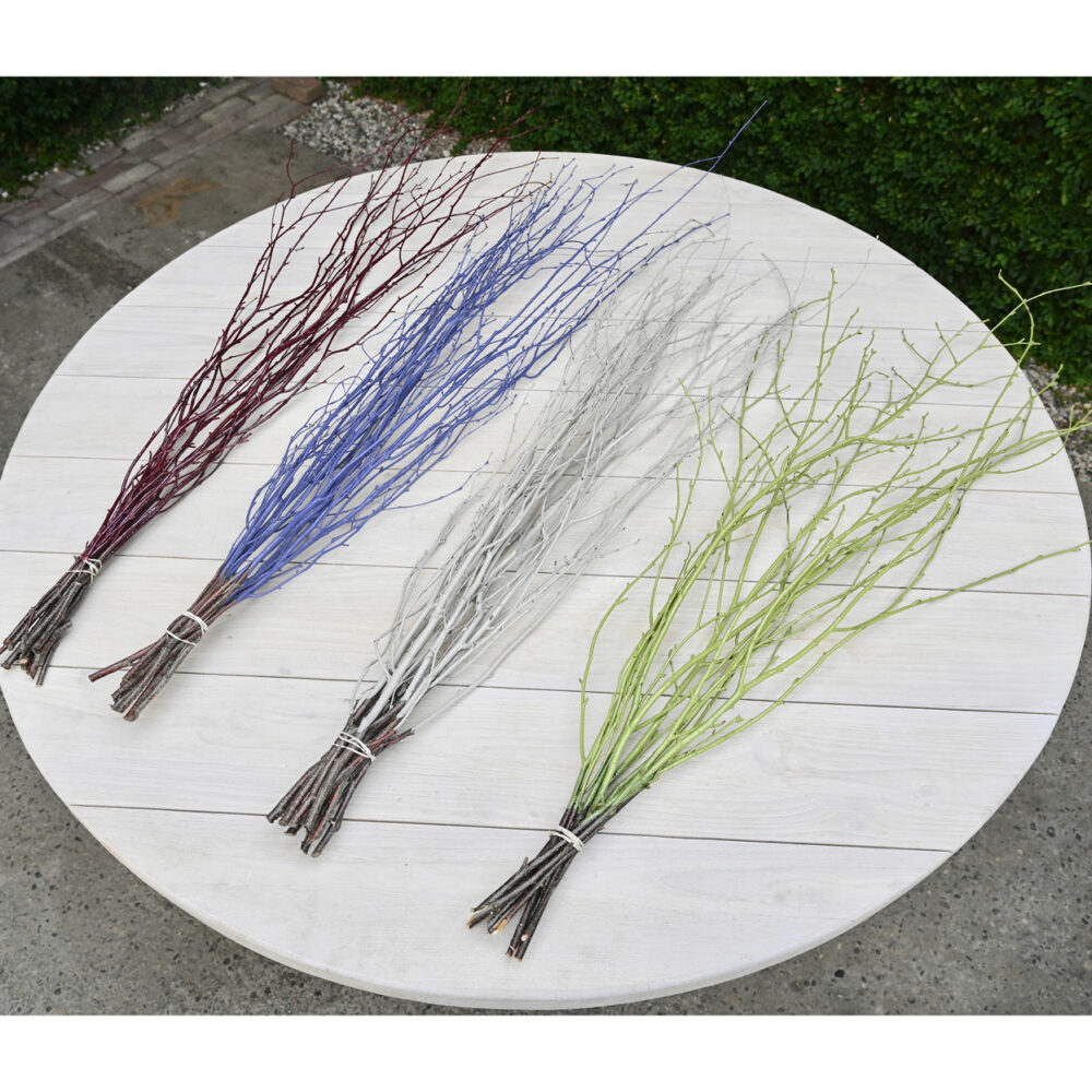 Painted Birch Branches