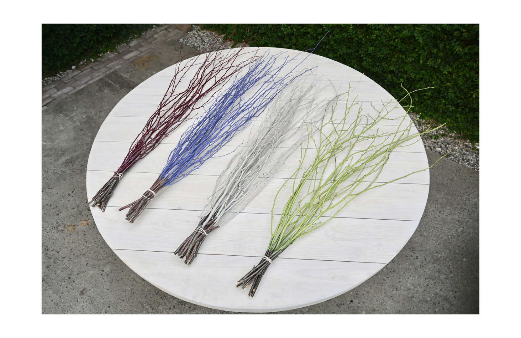 Painted Birch Branches